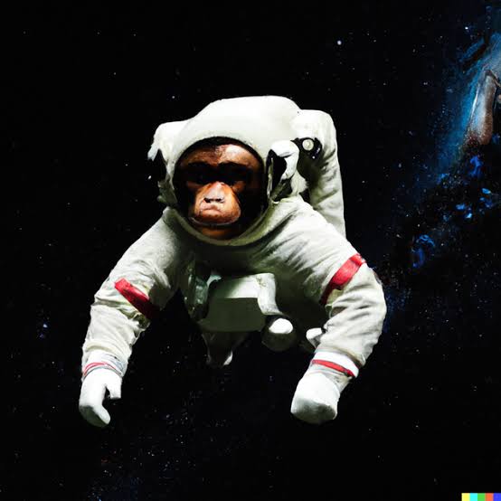 Space Monkey